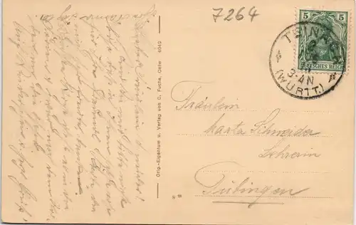 Ansichtskarte Bad Teinach-Zavelstein Ortsansicht mit Schwarzwaldhaus 1910