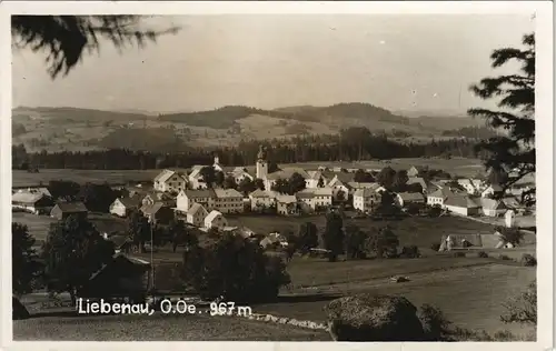 Ansichtskarte Liebenau Panorama Echtfoto-Ansicht 1950