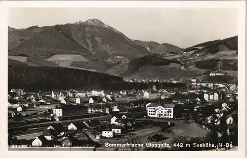 Ansichtskarte Gloggnitz Panorama-Ansicht 1955