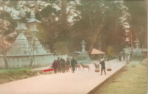 Postcard Japan Japan Nippon Par und Tempel belebt 1907
