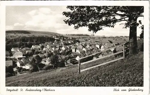 Sankt Andreasberg-Braunlage Panorama-Ansicht Blick vom Glockenberg 1950