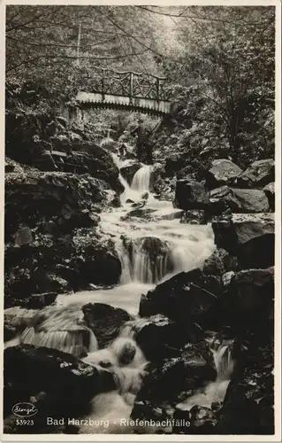 Ansichtskarte Bad Harzburg Waterfall/Riefenbachfälle - Wasserfall 1932