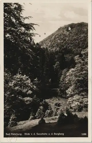 Ansichtskarte Bad Harzburg Blick von der Sennhütte auf den Burgberg 1934