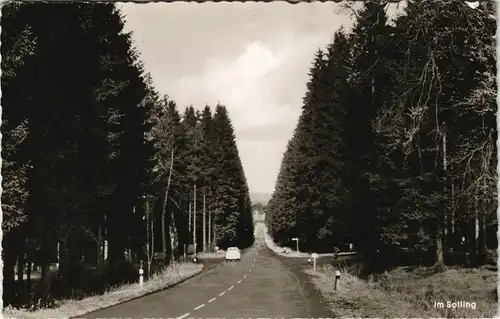 Neuhaus im Solling-Holzminden Straßenpartie im Solling - Auto 1963