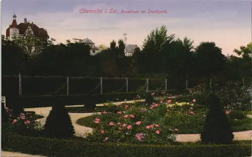 Ansichtskarte Chemnitz Rosarium 1914
