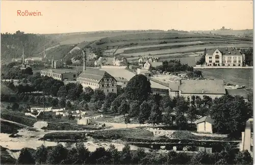 Ansichtskarte Rosswein/ Roßwein Fabrikanlagen, Fachwerkhäuser 1913