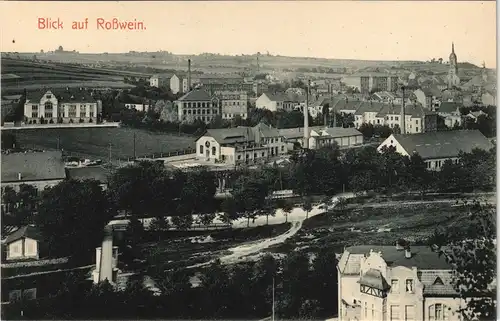 Ansichtskarte Rosswein/ Roßwein Fabrikanlagen Flusspartie 1912