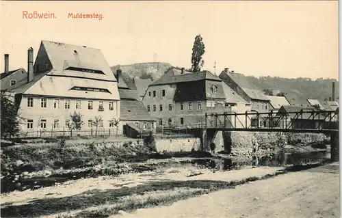 Ansichtskarte Rosswein/ Roßwein Partie am Muldensteg 1913