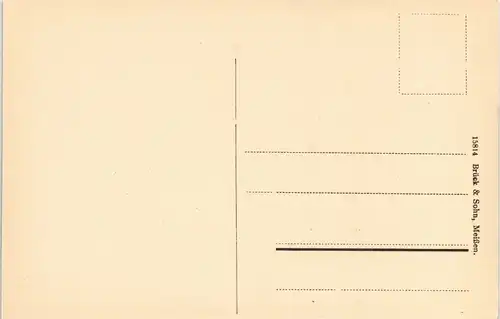 Ansichtskarte Rosswein/ Roßwein Partie am Muldensteg 1913