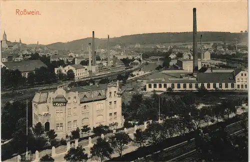Rosswein/ Roßwein Blick auf Straße Mehrfamilienhaus und Fabrik 1913