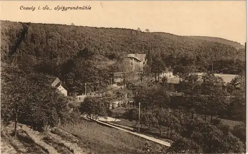 Ansichtskarte Coswig (Sachsen) Partie an der Spitzgrundmühle 1913