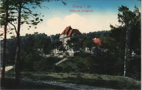 Ansichtskarte Coswig (Sachsen) Partie am Spitzgrund 1913