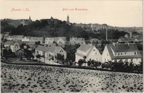Ansichtskarte Nossen Straßenpartie - Blick vom Kronenberg 1913