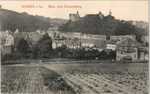 Ansichtskarte Nossen Blick vom Kronenberg 1914