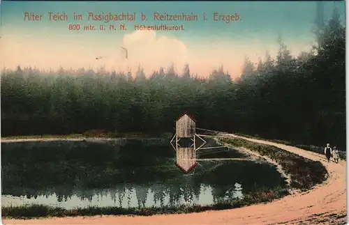 Reitzenhain-Marienberg im Erzgebirge Alter Teich Hütte Assigbachtal 1913