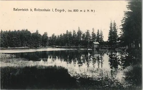 Ansichtskarte Reitzenhain-Marienberg im Erzgebirge Balzerteich - Hütte 1913