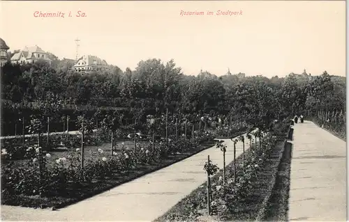 Ansichtskarte Chemnitz Rosarium Stadtpark 1913