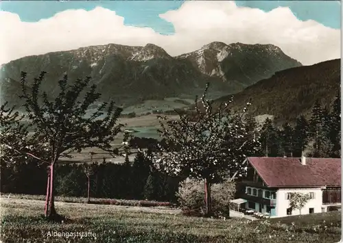 Ansichtskarte Siegsdorf Hammer Alpenstraße Gasthaus Fahrnbichl 1963