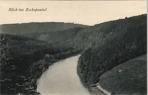 Ansichtskarte Lauenhain-Mittweida Zschopautal 1917