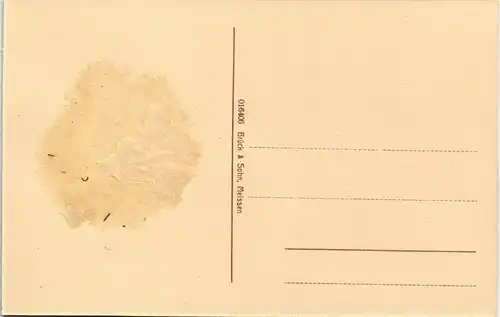 Ansichtskarte Pegau Partie am Kgl. Amtsgericht 1913
