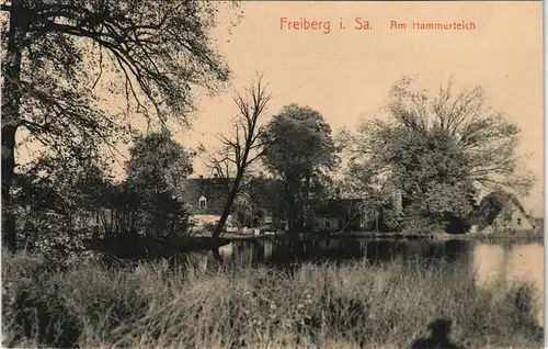 Ansichtskarte Freiberg (Sachsen) Am Hammertreich - Häuser 1913