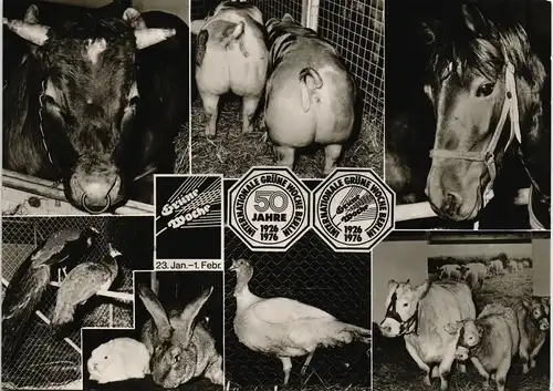 Ansichtskarte Berlin Grüne Woche MB Tiere 50Jahre 1976