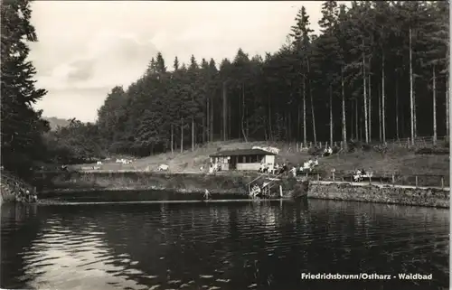 Ansichtskarte Friedrichsbrunn Waldbad 1958