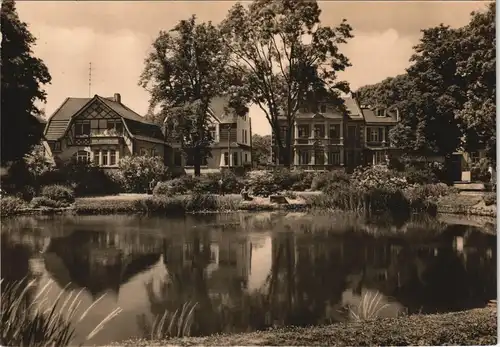 Bad Salzelmen-Schönebeck (Elbe) Schwanenteich mit umliegenden Häusern 1960