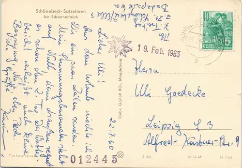 Bad Salzelmen-Schönebeck (Elbe) Schwanenteich mit umliegenden Häusern 1960