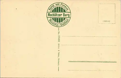 Ansichtskarte Rochlitz Rochlitzer Berg 1913 #