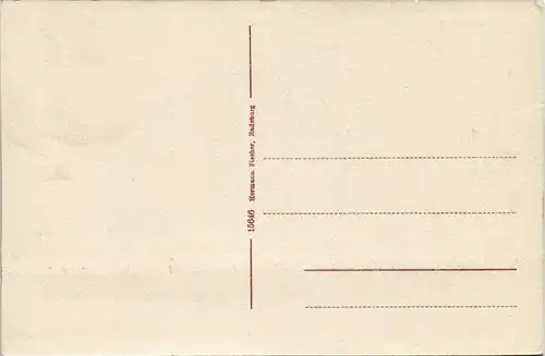 Ansichtskarte Radeburg Marktplatz - Geschäfte 1913