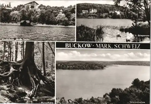 Buckow (Märkische Schweiz) DDR Mehrbild-AK mit 4 Umland-Ansichten 1982/1981