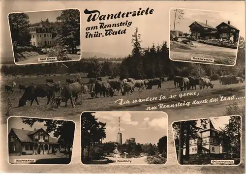 .Thüringen DDR Mehrbild-AK Wanderziele am Rennstein Thüringer Wald 1963