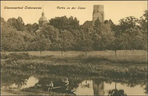 Ansichtskarte Bad Liebenwerda Partie an der Elster - Stadt 1918