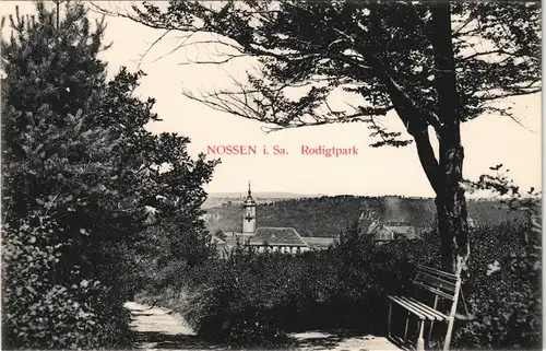 Ansichtskarte Nossen Rodigktpark 1913