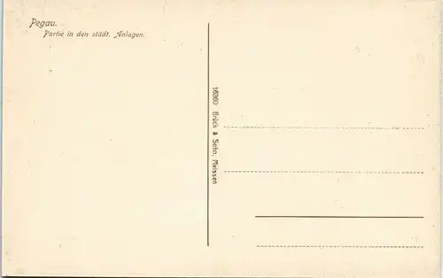 Ansichtskarte Pegau Partie in den städt. Anlagen. 1913