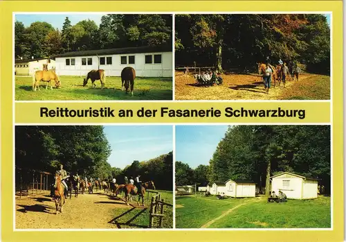 Schwarzburg Reittouristik-Station  eithalle, Kinderreitplatz,Unterkünfte 1989