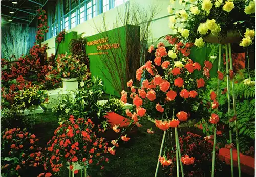 Ansichtskarte Berlin Internationale Grüne Woche Blumen Halle 1973