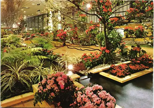 Ansichtskarte Berlin Pflanzen Ausstellung Internationale Grüne Woche 1974