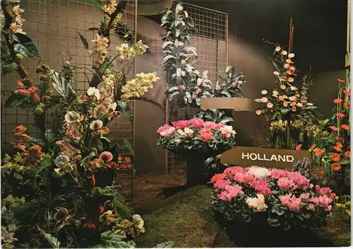 Ansichtskarte Berlin Internationale Grüne Woche Holland Blumenschau 1979