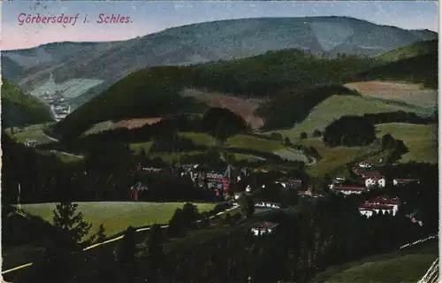 Postcard Görbersdorf in Schlesien Sokołowsko Stadtpartie gel. 1910