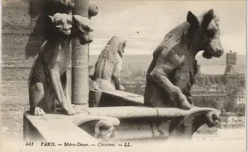 CPA Paris Notre-Dame, - Chimères. 1928