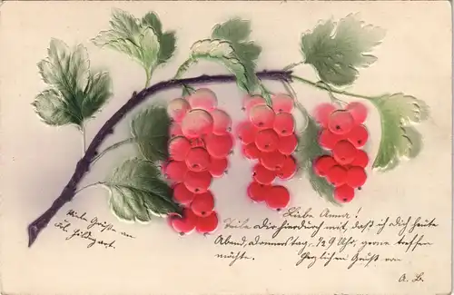 Ansichtskarte  Botanik Johannisbeere - Künstler-Prägekarte 1906 Prägekarte