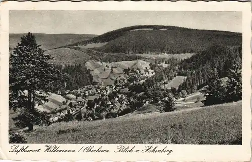 Wildemann (Innerstetal) Panorama-Ansicht Blick v. Hohenberg 1955