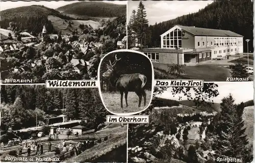 Wildemann (Innerstetal) Mehrbildkarte "Klein-TirolHarz", Oberharz Region 1957