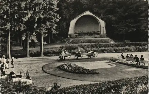 Wildemann (Innerstetal) Ortsansicht mit Kurpark, Oberharz Region 1965
