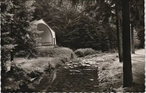 Ansichtskarte Wildemann (Innerstetal) Musikpavillon im Kurpark 1953