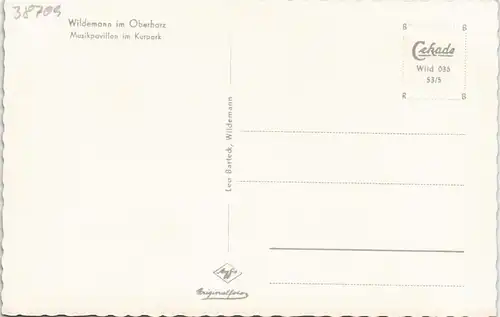 Ansichtskarte Wildemann (Innerstetal) Musikpavillon im Kurpark 1953