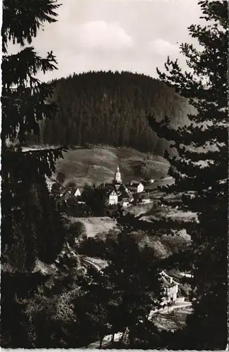 Wildemann (Innerstetal) Panorama-Ansicht Blick v. Rodesblick 1959