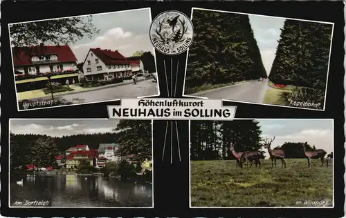 Neuhaus im Solling-Holzminden Mehrbild-AK  Dorfteich, Hauptstrasse uvm. 1963